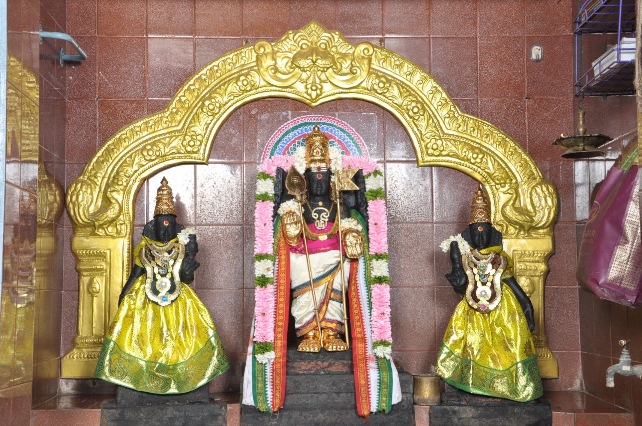 Shri Valli devasena sri sivasubramaniya swamy sanathi